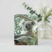 Koala Bear Postkarte (Stehend Vorderseite)
