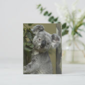 Koala Bear Postkarte (Stehend Vorderseite)