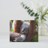 Koala Bear Postkarte (Stehend Vorderseite)