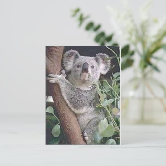 Koala Bear Postkarte (Stehend Vorderseite)