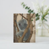 Koala Bear Postkarte (Stehend Vorderseite)