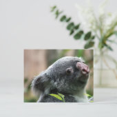 Koala Bear Postkarte (Stehend Vorderseite)