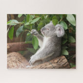 Koala Bear Puzzle (Horizontal)