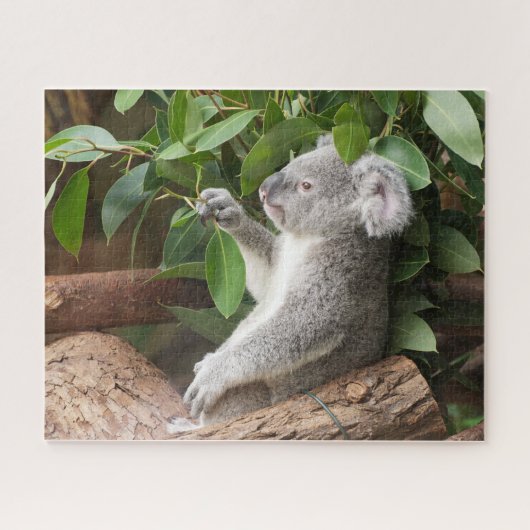 Koala Bear Puzzle (Horizontal)