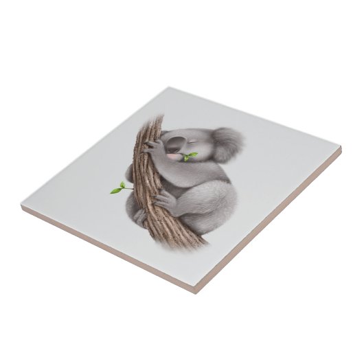 Koala Bear schlafen Fliese (Seite)