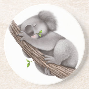 Koala Bear schlafen Getränkeuntersetzer