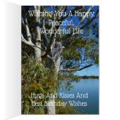 Koala Bear Sleeping In Gum Tree, Birthday (Innen (Rechts))