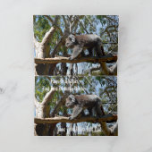 Koala Bear Tight Rope Walker, Geburtstag Karte (Innenseite)