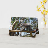 Koala Bear Tight Rope Walker, Geburtstag Karte (Gelbe Blume)