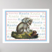 Koala Bear und Baby Poster (Vorne)