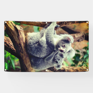 KOALA BEAR UND CUB BANNER MIT KÜHLMEERN