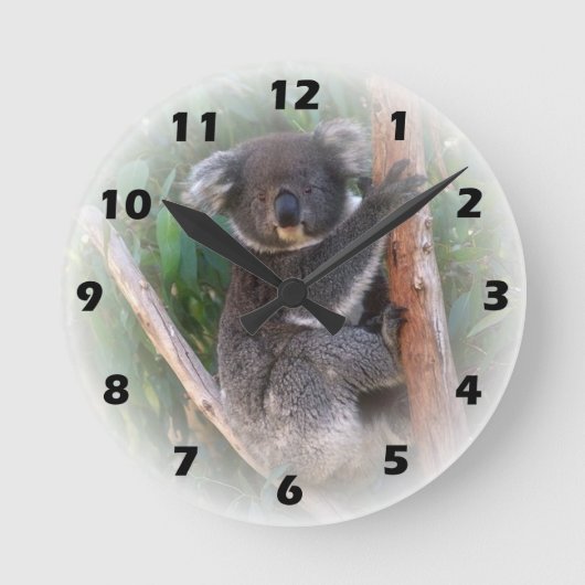 Koala Bear Wall Clock Runde Wanduhr (Vorderseite)