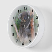 Koala Bear Wall Clock Wanduhr (Winkel)