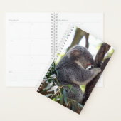 Koala Bear Weekly/Monatsplaner Planer (Anzeige)