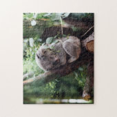 Koala Bear Wild Animal Sleeping auf einem Bambusba Puzzle (Vertikal)