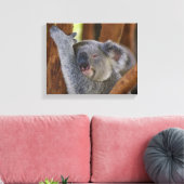 Koala Bear Wrapped Canvas Leinwanddruck (Insitu (Wohnzimmer))