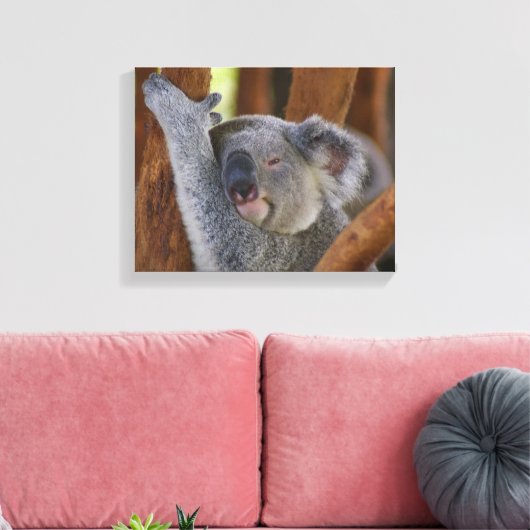 Koala Bear Wrapped Canvas Leinwanddruck (Insitu (Wohnzimmer))