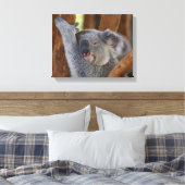 Koala Bear Wrapped Canvas Leinwanddruck (Insitu (Schlafzimmer))