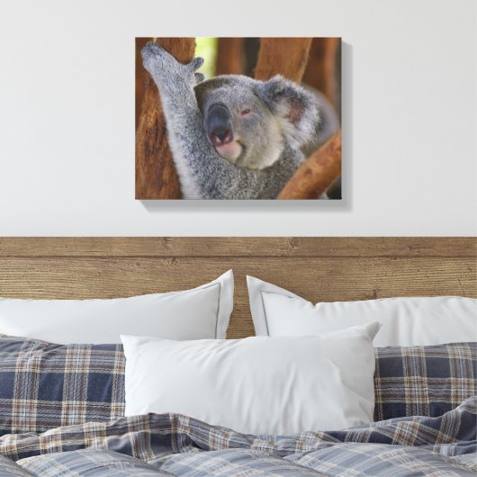 Koala Bear Wrapped Canvas Leinwanddruck (Insitu (Schlafzimmer))
