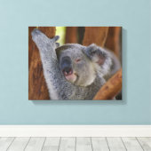 Koala Bear Wrapped Canvas Leinwanddruck (Insitu (Holzboden))