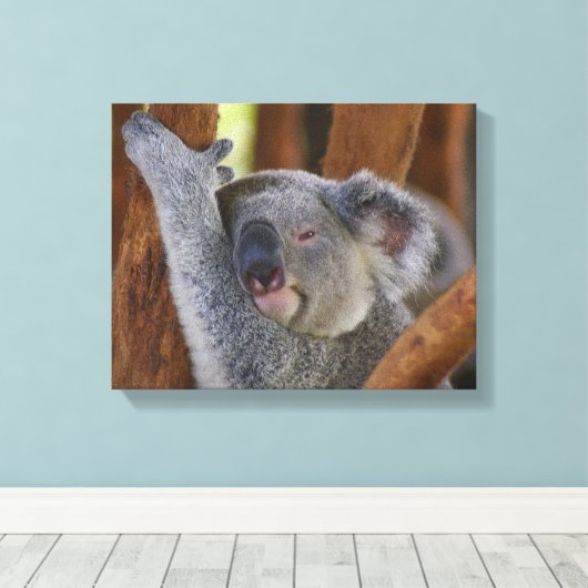 Koala Bear Wrapped Canvas Leinwanddruck (Insitu (Holzboden))