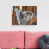 Koala Bear Wrapped Canvas Leinwanddruck (Insitu (Wohnzimmer))
