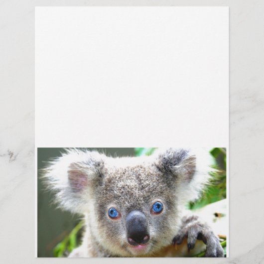 Koala Bears (Vorderseite)