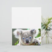 Koala Bears (Stehend Vorderseite)
