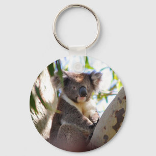 Koala Bears Aussi Outback Destiny Nature Schlüsselanhänger