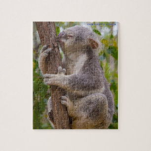 Koala Bears Australien Puzzle
