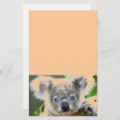 Koala Bears Briefpapier (Vorne/Hinten)