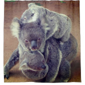 Koala Bears Duschvorhang (Vorderseite)