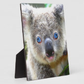 Koala Bears Fotoplatte (Seite)