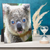 Koala Bears Fotoplatte (Seite)