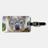 Koala Bears Gepäckanhänger (Vorderseite horizontal)