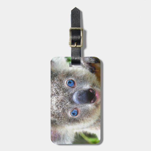 Koala Bears Gepäckanhänger (Vorderseite vertikal)