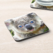 Koala Bears Getränkeuntersetzer (Linke Seite)