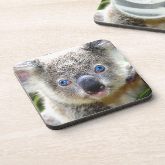 Koala Bears Getränkeuntersetzer (Linke Seite)