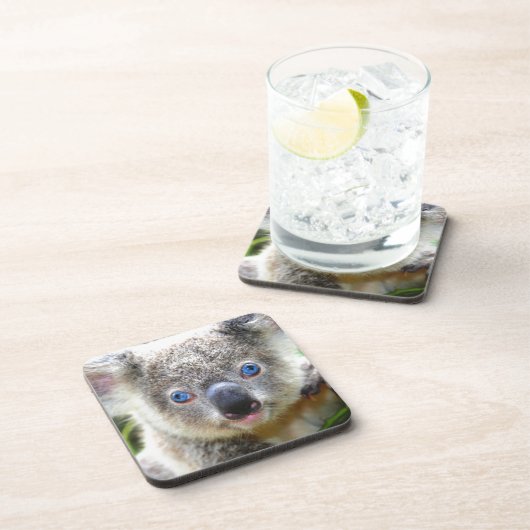Koala Bears Getränkeuntersetzer (Rechte Seite)
