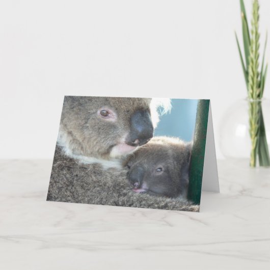 Koala Bears Karte (Vorderseite)