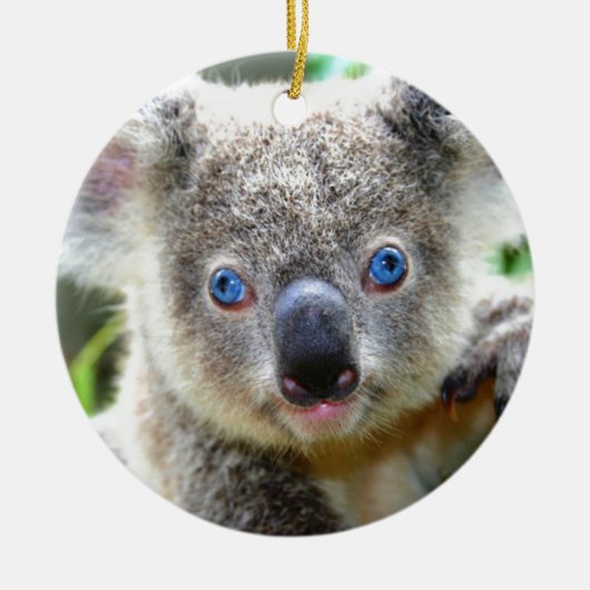 Koala Bears Keramik Ornament (Vorne)