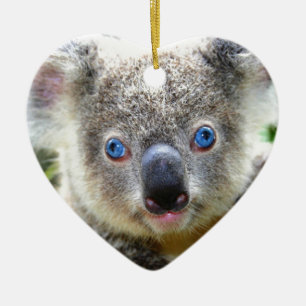 Koala Bears Keramikornament