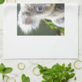 Koala Bears Küchentuch (Gefaltet)