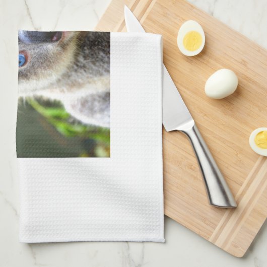 Koala Bears Küchentuch (Viertel Falte)