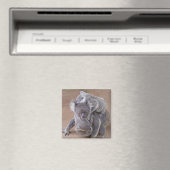 Koala Bears Magnet (In Situ (Geschirrspüler))