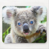 Koala Bears Mousepad (Vorne)