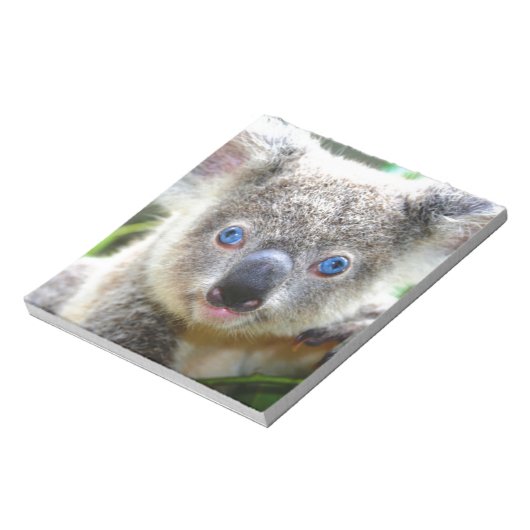 Koala Bears Notizblock (Rotiert)