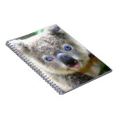 Koala Bears Notizblock (Rechte Seite)