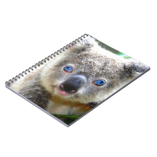 Koala Bears Notizblock (Linke Seite)