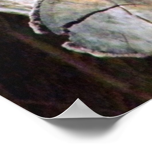 Koala Bears_Poster Poster (Ecke)